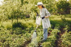 Urban Farming and Community Gardens in the Bronx